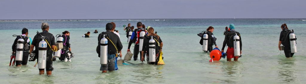 european-marine-biological-resource-centre